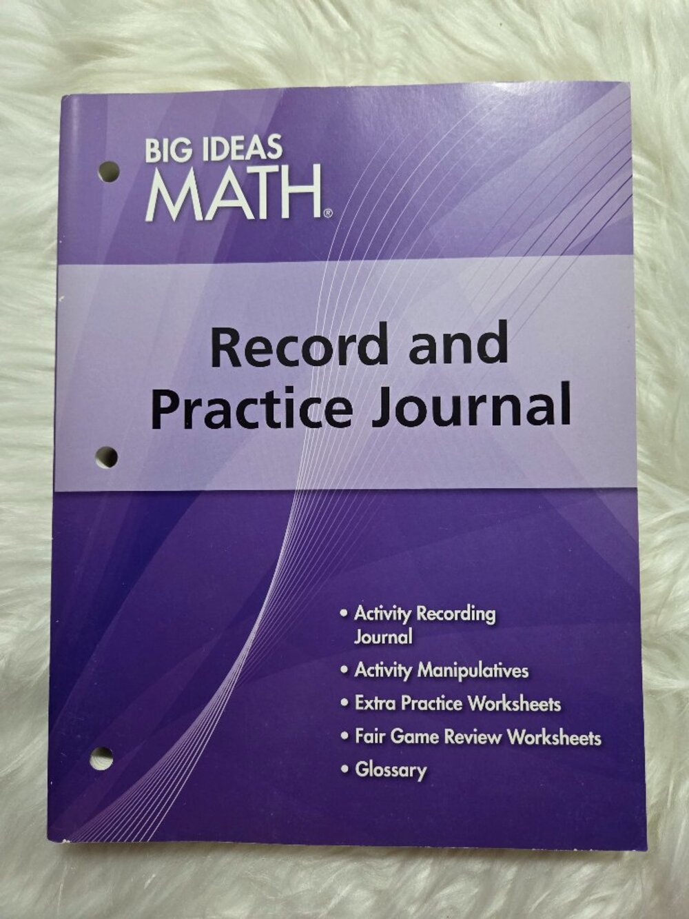Big Ideas Math Record and Practice Journal (Algebra 1)